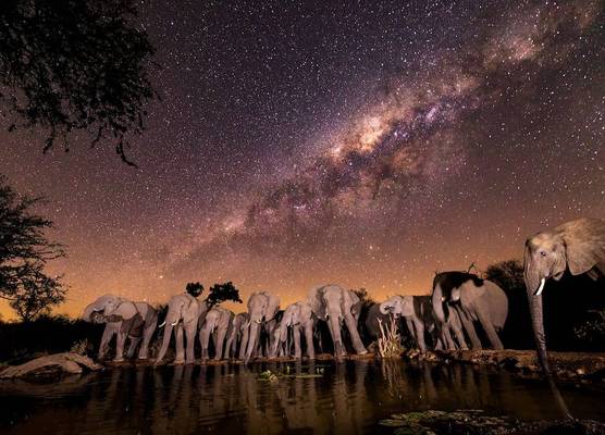 Antares Bush Camp & Umgede Hide 1