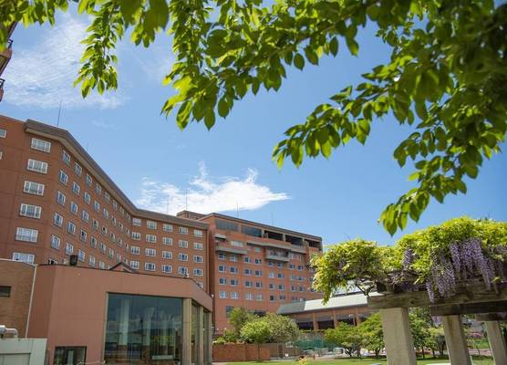Toyako Manseikaku Hotel Lakeside Terrace 1