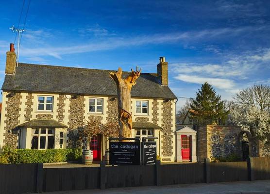 The Cadogan Arms 1
