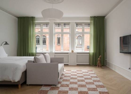 Luxurious apartment by Rådhuspladsen 1