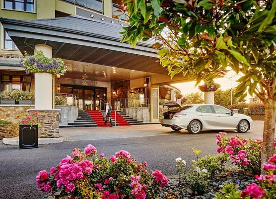 The Rose Hotel 1