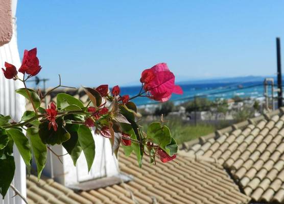 Infinity blue beach apartments - Renovated Apartments 2 Minutes from the Sea & Pool with Scenic Views 1