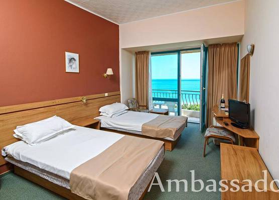 Ambassador 1