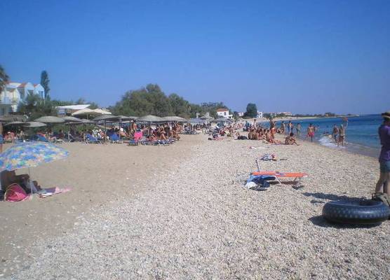 Apollon (ex. Albatros) 1