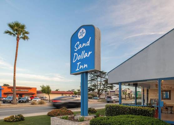 Sand Dollar Inn 1