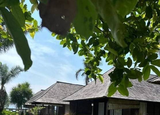 Balangan Surf Resort 1
