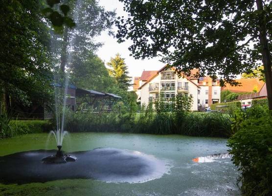 Hotel & Restaurant Am Alten Rhin 1