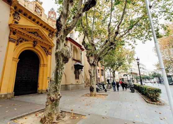 Casa Patio del Siglo XIX 1