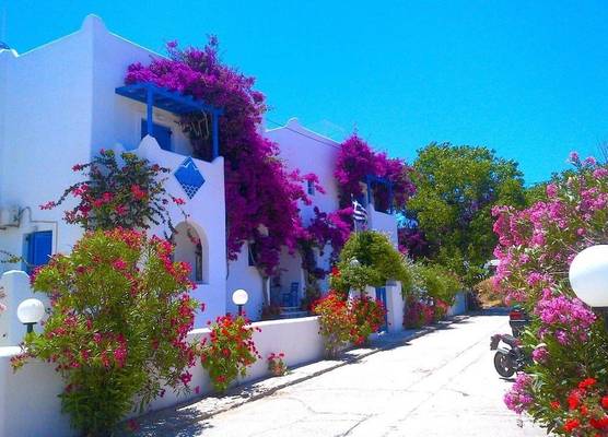 Pelagos Studios 1