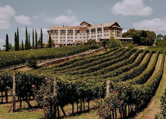Spa do Vinho Condomínio Vitivinícola 1