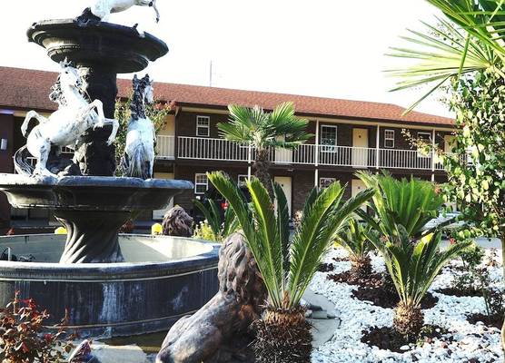 Savannah Inn and Suites 1