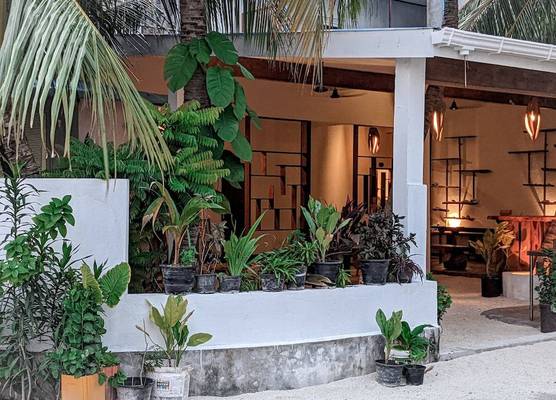 Dhoadhi Retreat 1