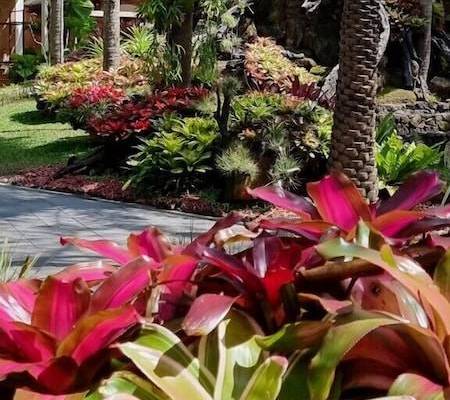 Coco Palm Beach Resort 1