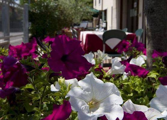Hotel Scaligero 1