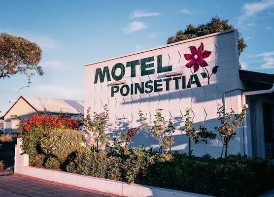 Motel Poinsettia 1