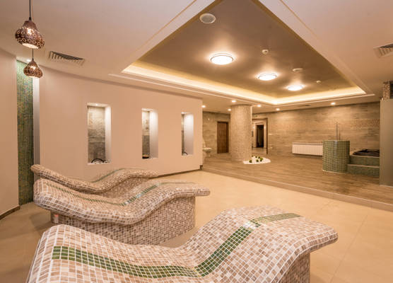 Lion Bansko Hotel 1