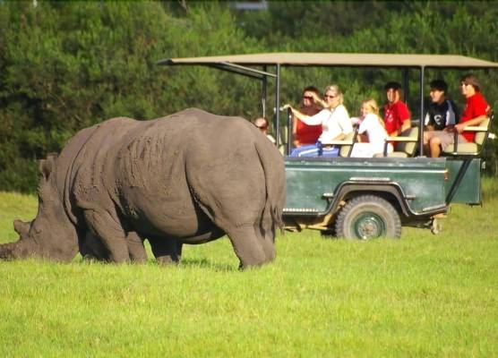 Kragga Kamma Game Park 1