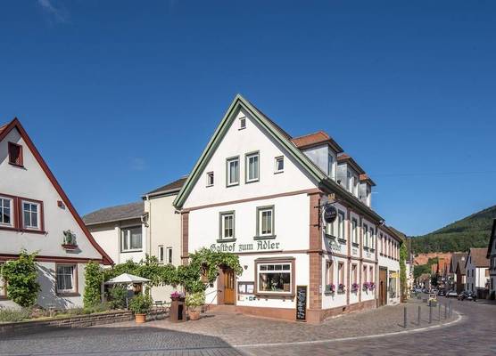 Adler Landhotel 1