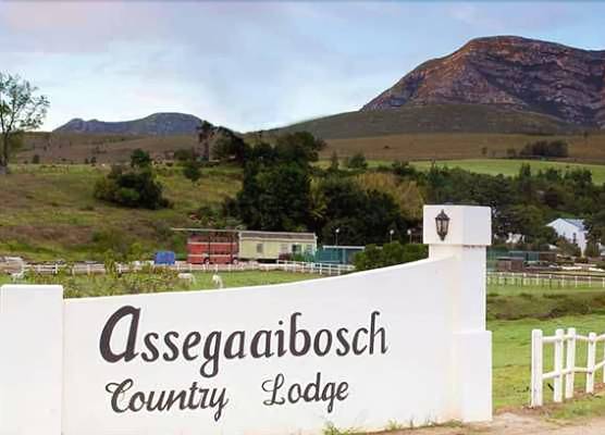 Assegaaibosch Country Lodge 1