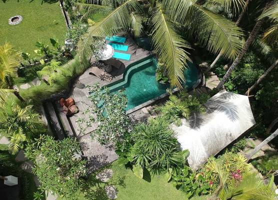 Ubud Tropical 1