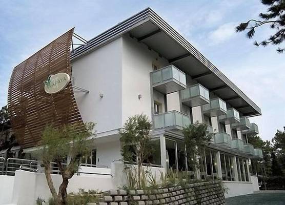 Hotel Anapaya 1
