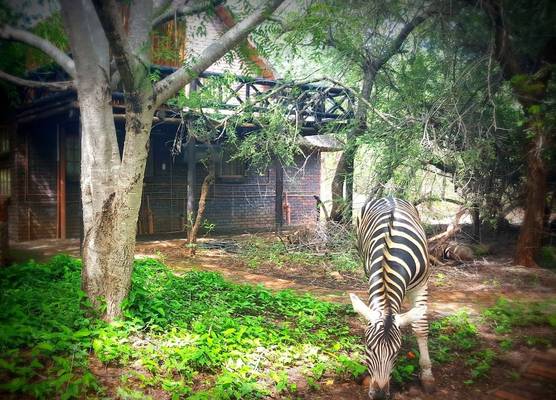 Phumula Kruger Lodge 1