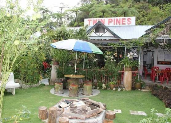 Twin Pines 1