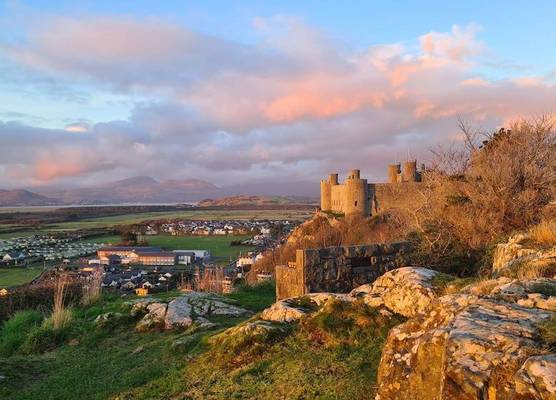 Y Branwen Restaurant & Rooms - Adult Only and Dog Friendly 1