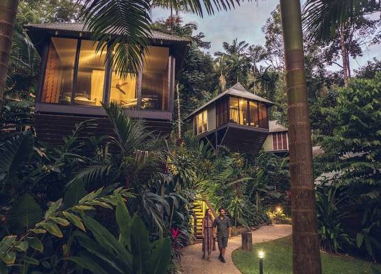 Daintree Ecolodge 1