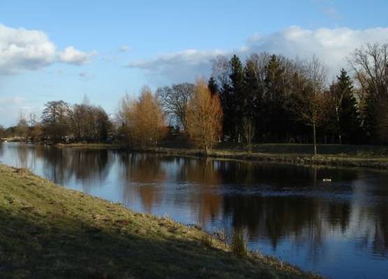 Landgasthof Allerparadies 1