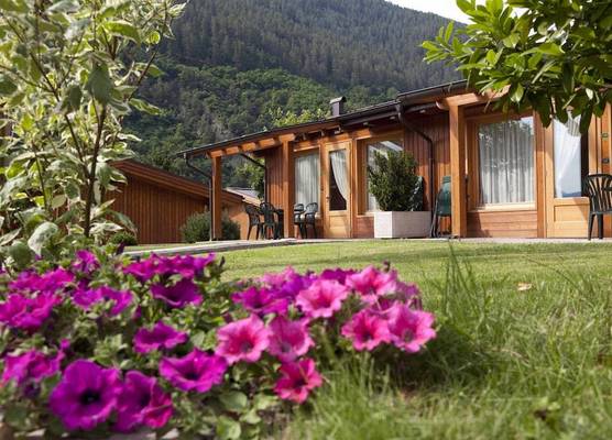 Camping Dolomiti 1