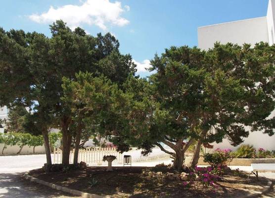 Hotel Lago Playa I 1