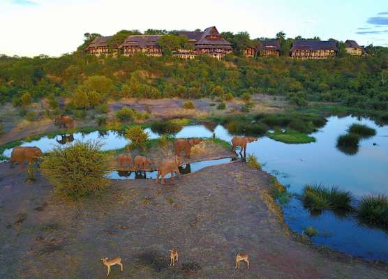 Victoria Falls Safari Lodge 1