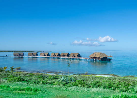 Playa Luxury Cayo Guillermo 1