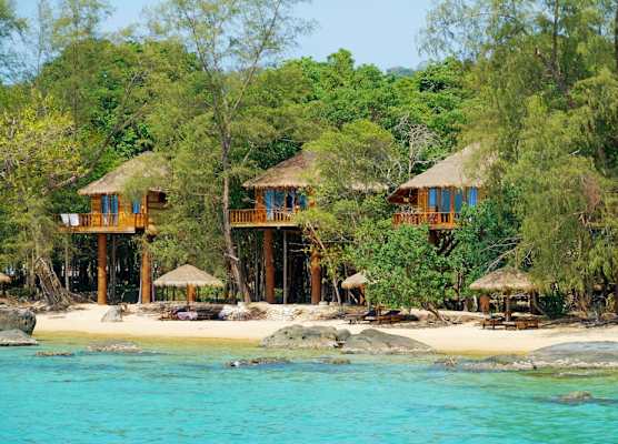 Tree House Bungalows 1