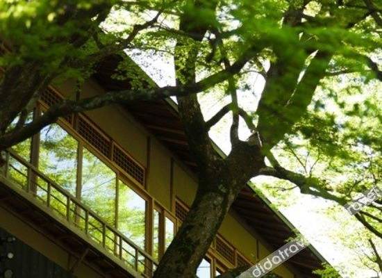 Hoshinoya 1