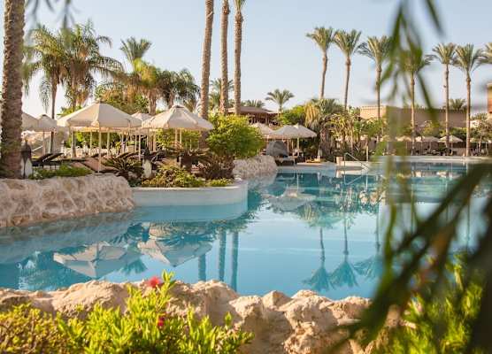 The Makadi Spa Hotel - Couples Only 18 Years Plus 1