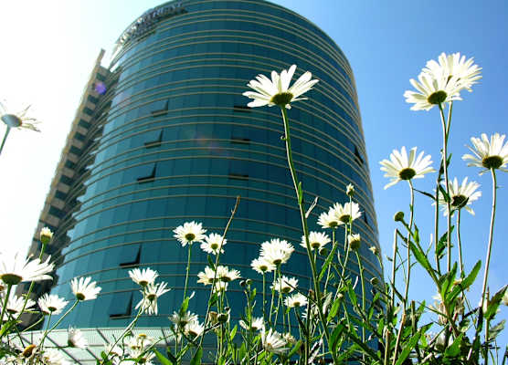Suites Camino Real 1