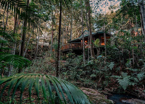 Narrows Escape Rainforest Retreat 1