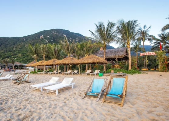Jungle Beach 1