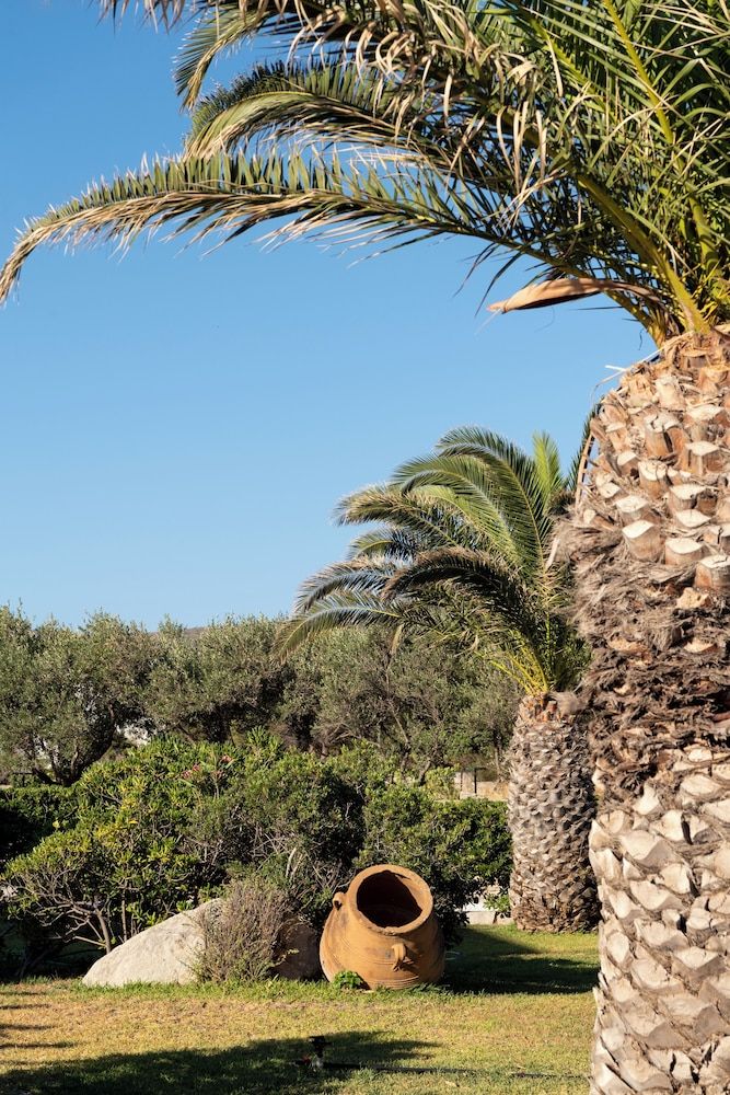 Paris - Paros, Islas Griegas - Hotel Swiss Home - Paros, Islas Griegas