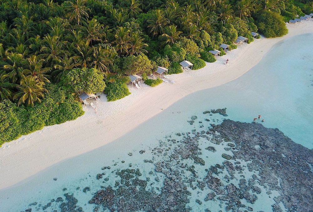 Paris - Thinadhoo - Plumeria Maldives - Thinadhoo