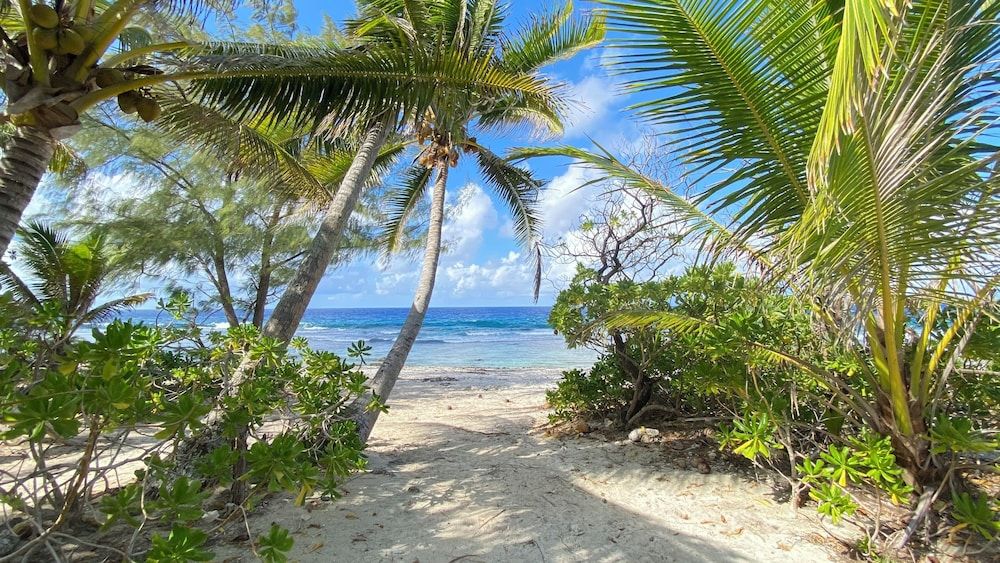 Paris - Moorea - MOOREA CHILL AND BEACH LODGE - Moorea
