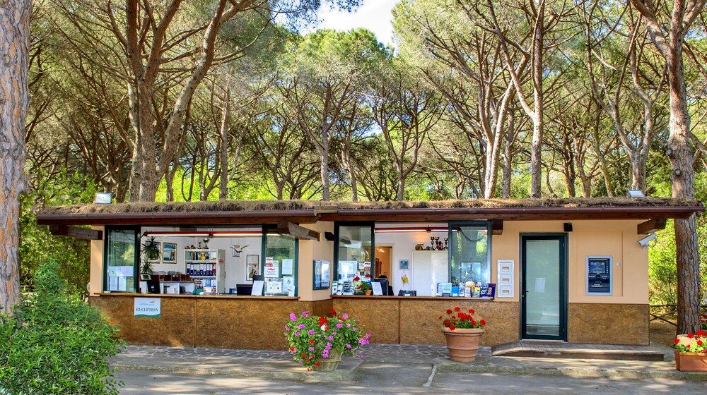 Bordeaux - Toscane - riviera, Italie - Camping Maremma Sans Souci - Toscane - riviera, Italie